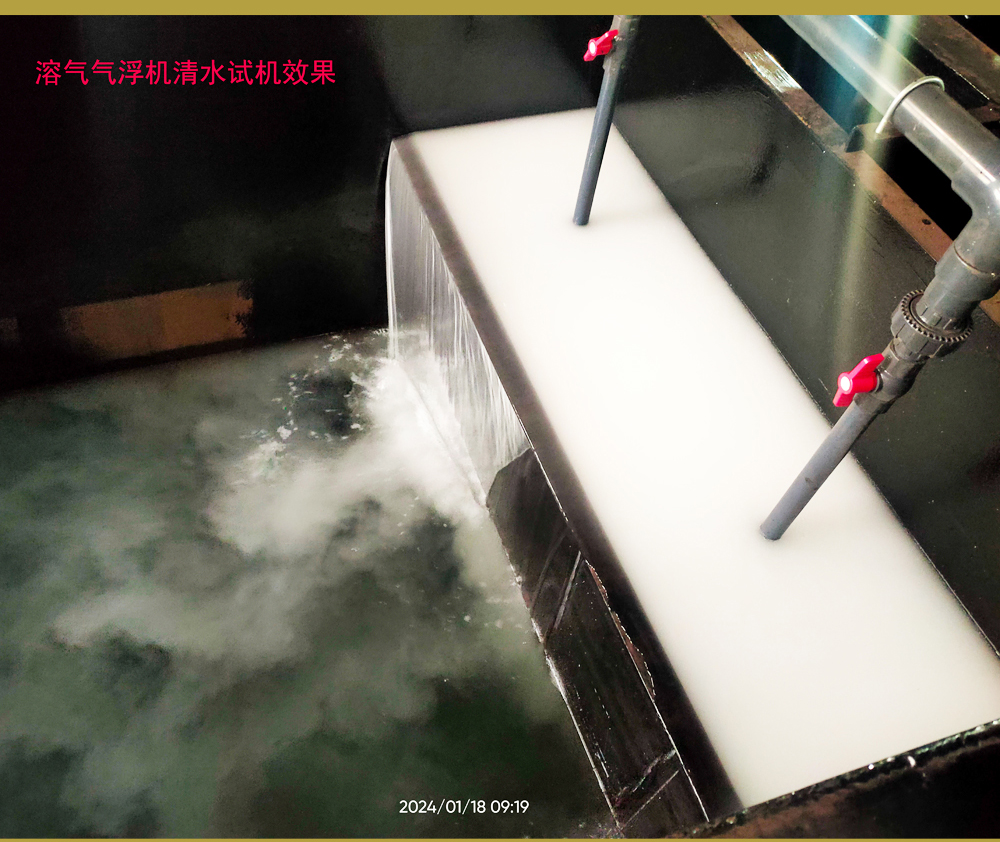 溶气气浮清水试机 (2).jpg